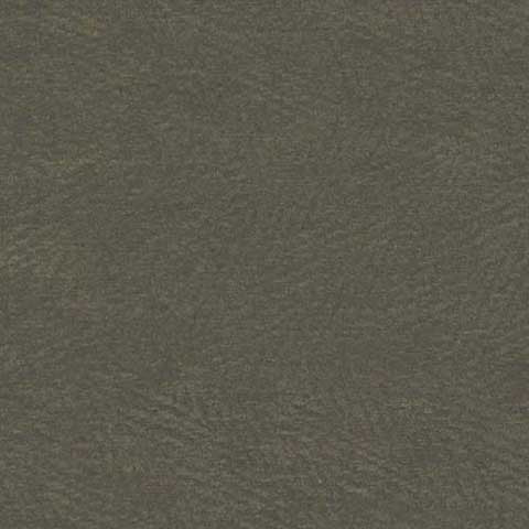 Contexture Olive