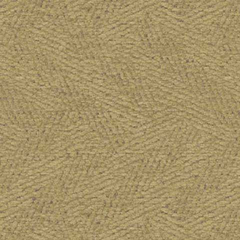 Contexture Sulphur